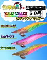 極鱗丸Newオリカラ WILDCHASE 3.0号入荷‼