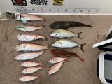 徳島遊漁船極鱗丸シロアマの9月の釣果(2025.09.26)