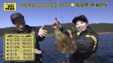 釣りビジョン【とことんエギ★パラ】171 高知県甲浦の旅