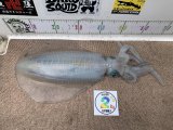 2026.03.29 アオリイカ 2020g