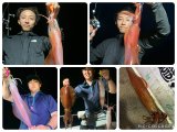 徳島遊漁船極鱗丸甲浦イカメタルの8月の釣果(2026.08.15)