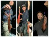 徳島遊漁船極鱗丸甲浦イカメタルの8月の釣果(2026.08.20)