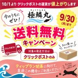 送料無料キャンペーン実施中‼
