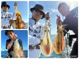 徳島遊漁船極鱗丸ティップランの10月の釣果(2026.10.29)