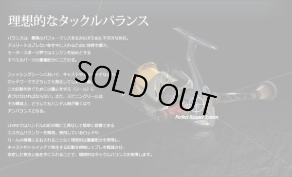 画像4: カスタムバランサー/ C1（オールGOLD） (4)