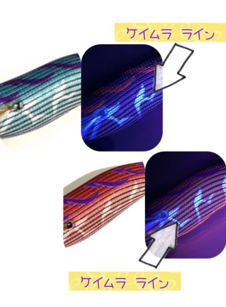 画像3: WILD CHASE 【3.5号特注品】 汐音レッド (3)