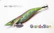 画像1: WILD CHASE 【3.0号特注品】 汐音メタグリーン (1)