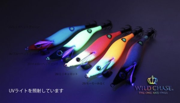 画像3: WILD CHASE 2.5号 イカメタル (3)