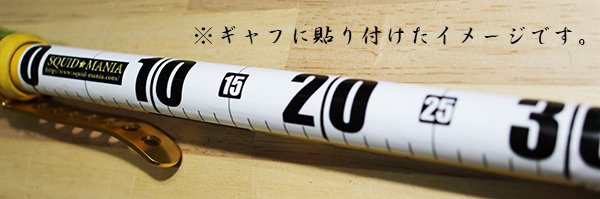 画像3: メジャーシール (W300) (3)