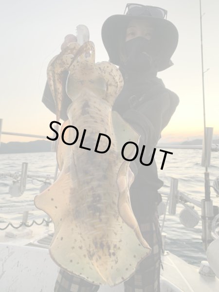 画像5: 【特注】#BTKM01 極鱗パープル(UV) 3.5号30g SQUIDMANIA WILDCHASE/B-TR (5)