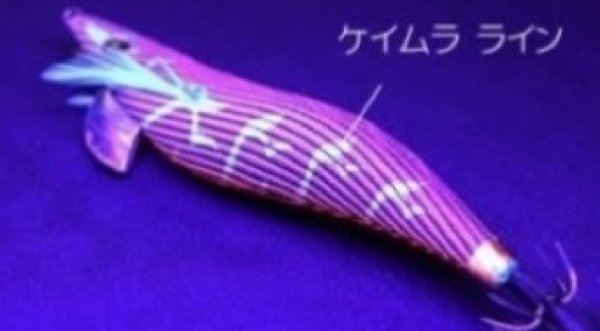 画像2: WILD CHASE 【3.5号特注品】 汐音レッド (2)