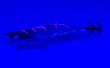 画像3: #BTKM02 RT 紫姫ノ華(UV) 3.5号30g  [WILDCHASE/B-TRラトル] (3)