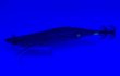 画像3: #BTKM10 RT 極鱗ブルーパープル(UV) 3.5号30g  [WILDCHASE/B-TRラトル] (3)