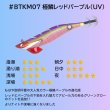 画像4: 【お得な7本セット】B-TR3.5号30g 極鱗丸オリカラ 2025Newカラー SQUIDMANIA WILDCHASE (4)