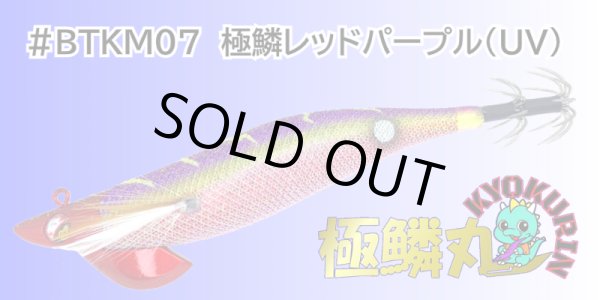 画像1: #BTKM07 極鱗レッドパープル(UV) 3.5号30g  極鱗丸オリカラ2025Newカラー SQUIDMANIA WILDCHASE/B-TR (1)
