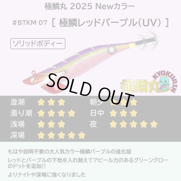 画像4: 【お得な7本セット】B-TR3.5号30g 極鱗丸オリカラ 2025Newカラー SQUIDMANIA WILDCHASE (4)