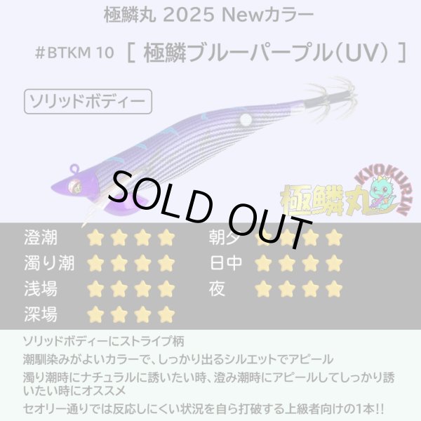 画像7: 【お得な7本セット】B-TR3.5号30g 極鱗丸オリカラ 2025Newカラー SQUIDMANIA WILDCHASE (7)