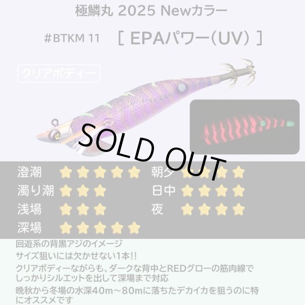 画像8: 【お得な7本セット】B-TR3.5号30g 極鱗丸オリカラ 2025Newカラー SQUIDMANIA WILDCHASE (8)