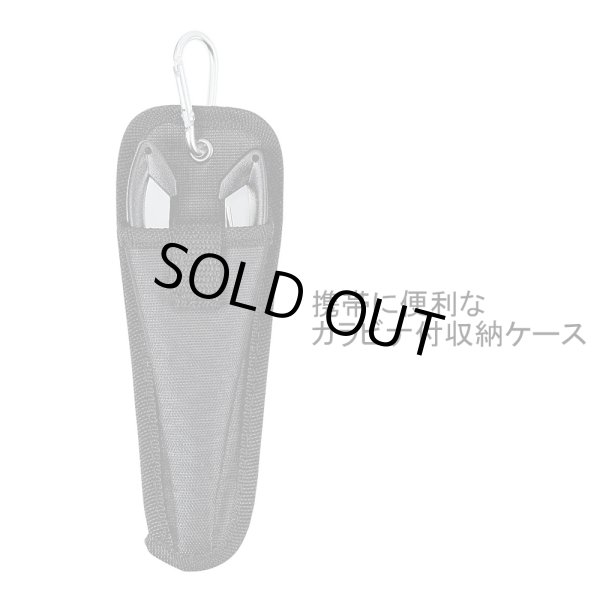 画像2: アオリペンチEX (2)