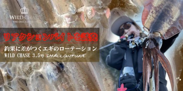 画像1: WILD CHASE 3.5号S/シャローtune #01〜#71 (1)