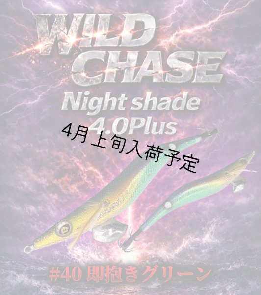 画像6: WILDCHASE Night Shade 4.0plus (6)