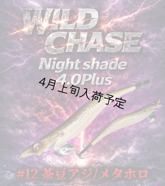 画像3: WILDCHASE Night Shade 4.0plus (3)
