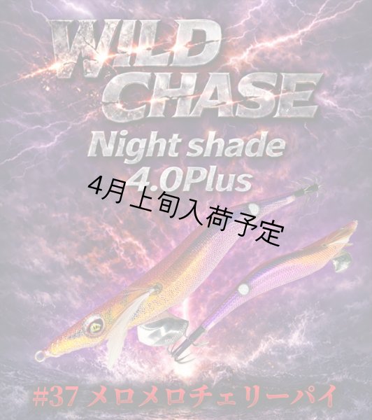 画像5: WILDCHASE Night Shade 4.0plus (5)