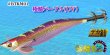画像1: 【BK仕様】#BTKM01 極鱗パープル(UV) 3.5号30g SQUIDMANIA WILDCHASE/B-TR (1)