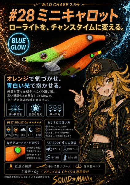 画像6: WILD CHASE 2.5号 イカメタル (6)