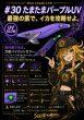 画像8: WILD CHASE 2.5号 イカメタル (8)
