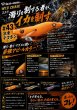 画像11: WILD CHASE 2.5号 イカメタル (11)