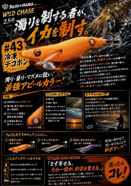 画像11: WILD CHASE 2.5号 イカメタル (11)