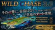 画像1: WILD CHASE 3.0号 #01〜#78 (1)