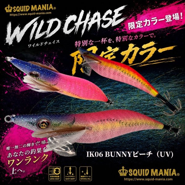 画像2: 限定/WILDCHASE 3.5号S(シャローチューン) (2)