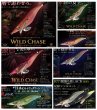 画像1: WILD CHASE 3.5号 #01〜#78 (1)