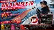 画像2: WILD CHASE/B-TR 　3.0号25ｇ (2)