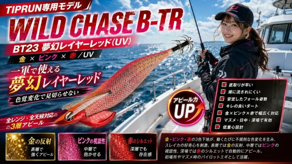 画像2: WILD CHASE/B-TR 　3.0号25ｇ (2)