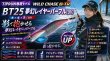 画像4: WILD CHASE/B-TR 　3.0号25ｇ (4)