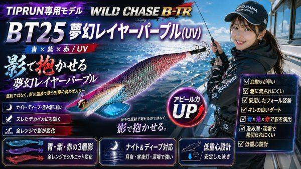 画像4: WILD CHASE/B-TR 　3.0号25ｇ (4)
