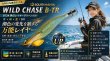 画像3: WILD CHASE/B-TR 　3.0号25ｇ (3)