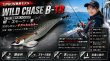 画像5: WILD CHASE/B-TR 　3.0号25ｇ (5)