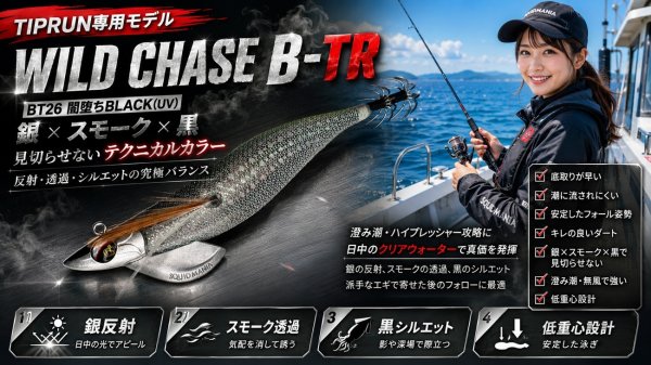 画像5: WILD CHASE/B-TR 　3.0号25ｇ (5)