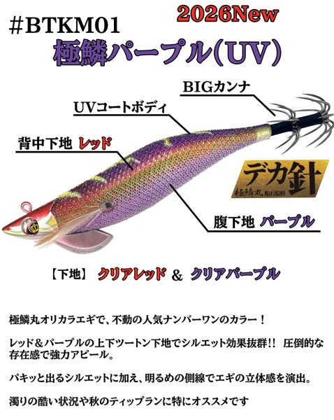 画像2: お得な【BK仕様7本セット】3.5号30ｇSQUIDMANIA WILDCHASE/B-TR (2)