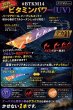 画像11: お得な【BK仕様7本セット】3.5号30ｇSQUIDMANIA WILDCHASE/B-TR (11)
