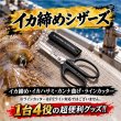 画像4: イカ絞めシザーズ (4)