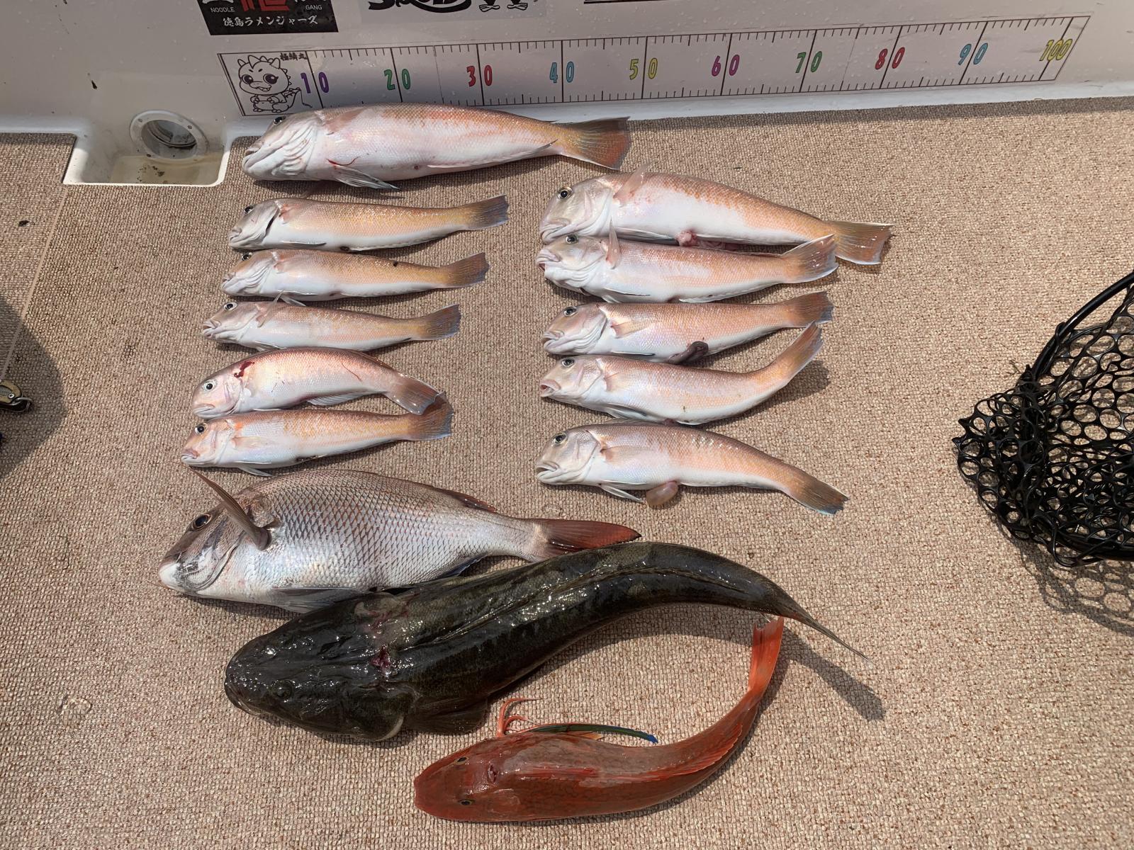 徳島遊漁船極鱗丸シロアマの7月の釣果(2025.07.06)