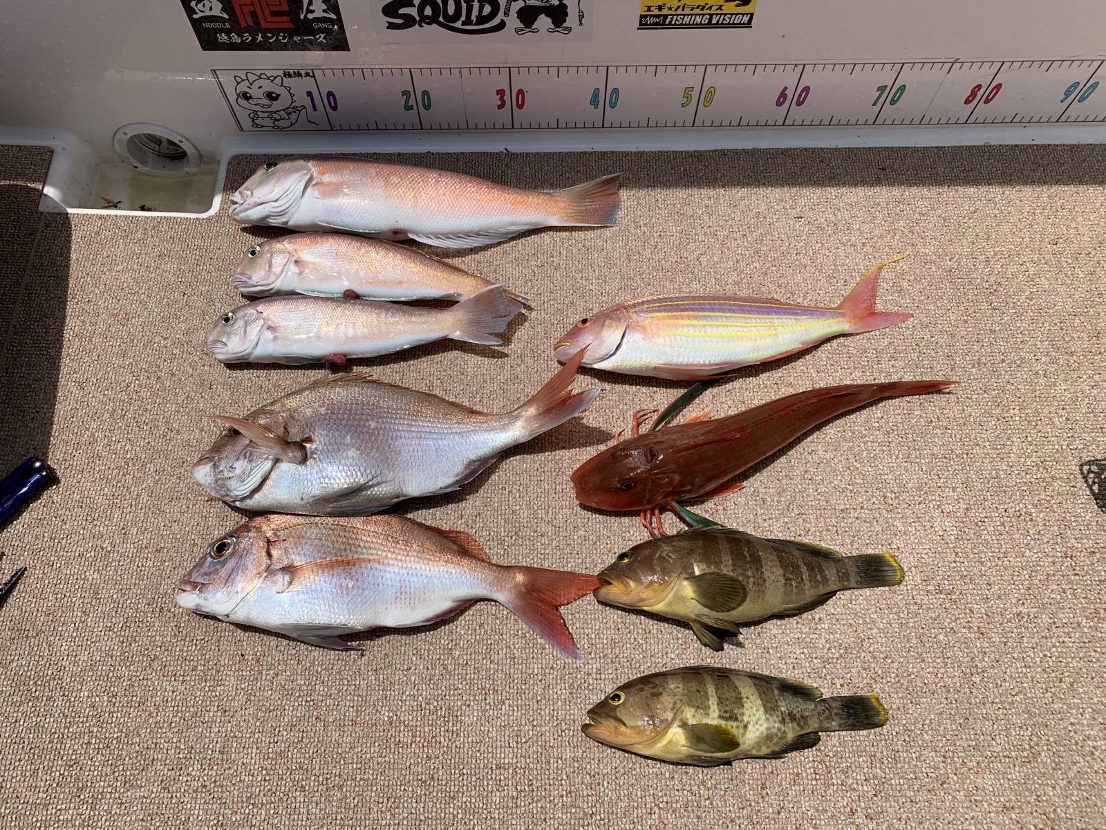 徳島遊漁船極鱗丸シロアマの7月の釣果(2025.07.11)