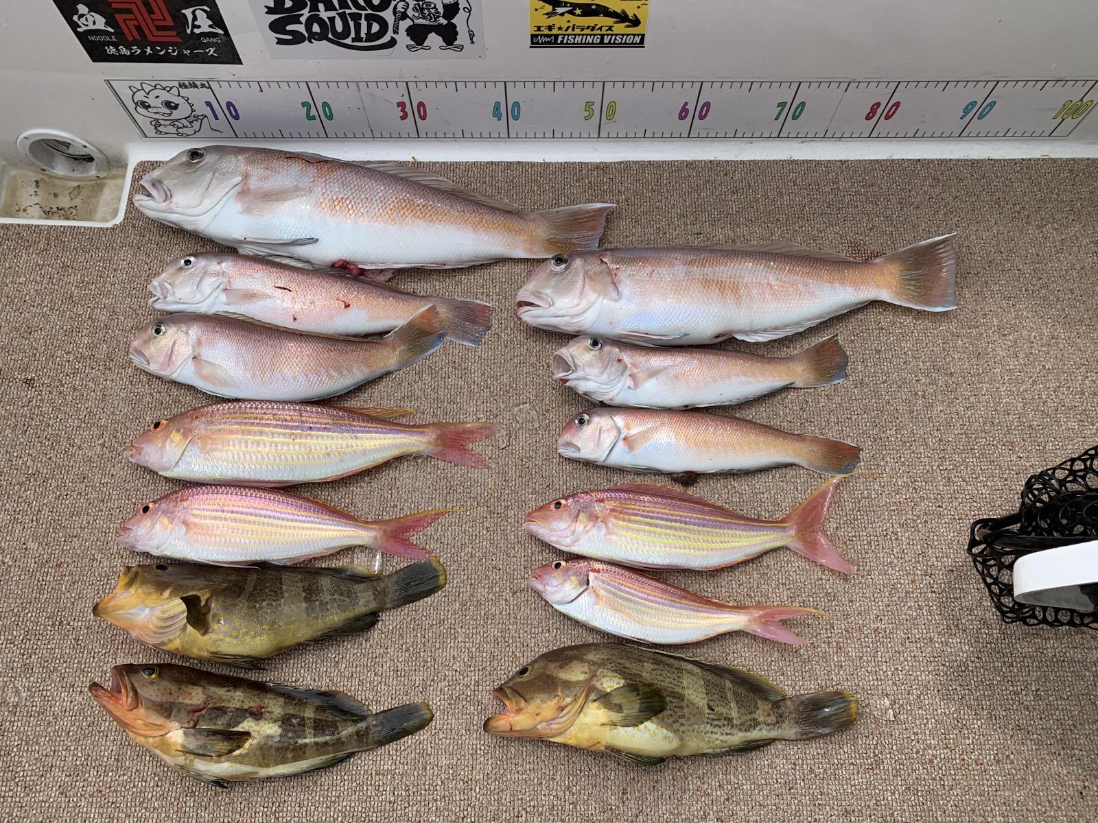 徳島遊漁船極鱗丸シロアマの8月の釣果(2025.08.08)