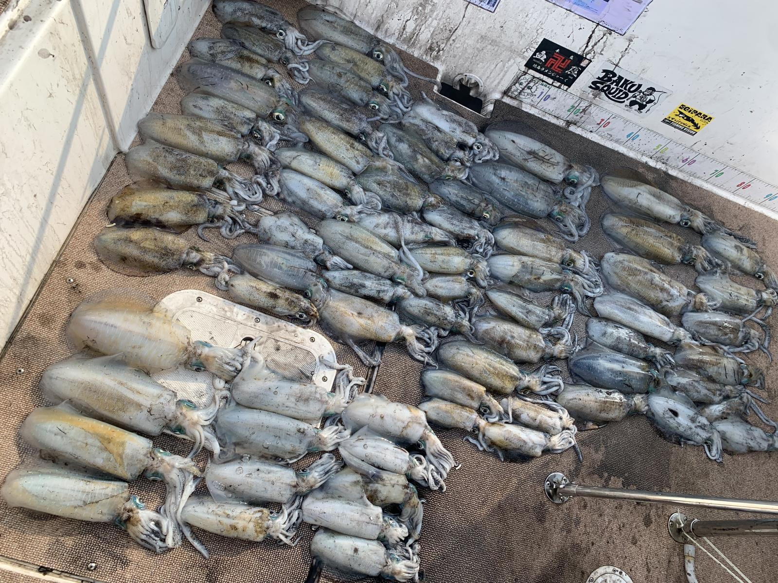 徳島遊漁船極鱗丸ティップランの10月の釣果(2025.10.16)