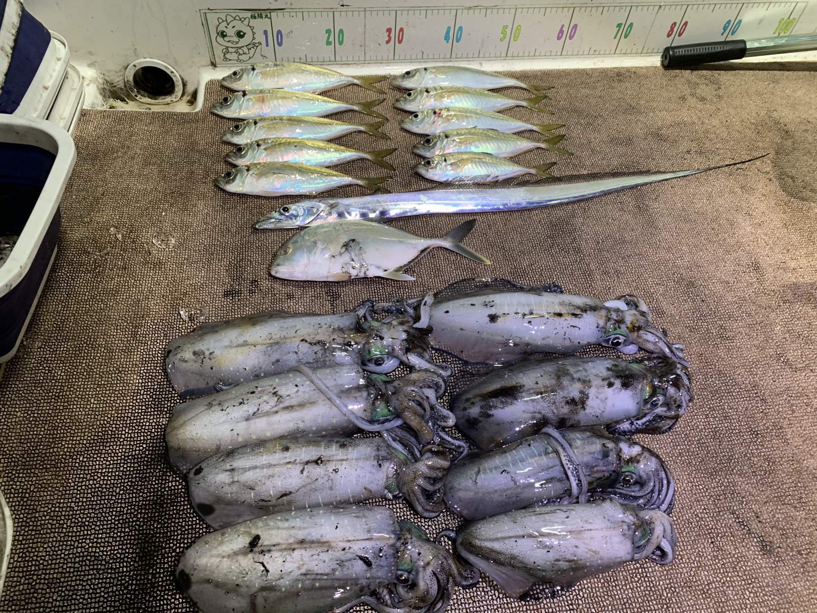 徳島遊漁船極鱗丸ティップラン＆アジングの11月の釣果(2025.11.19)